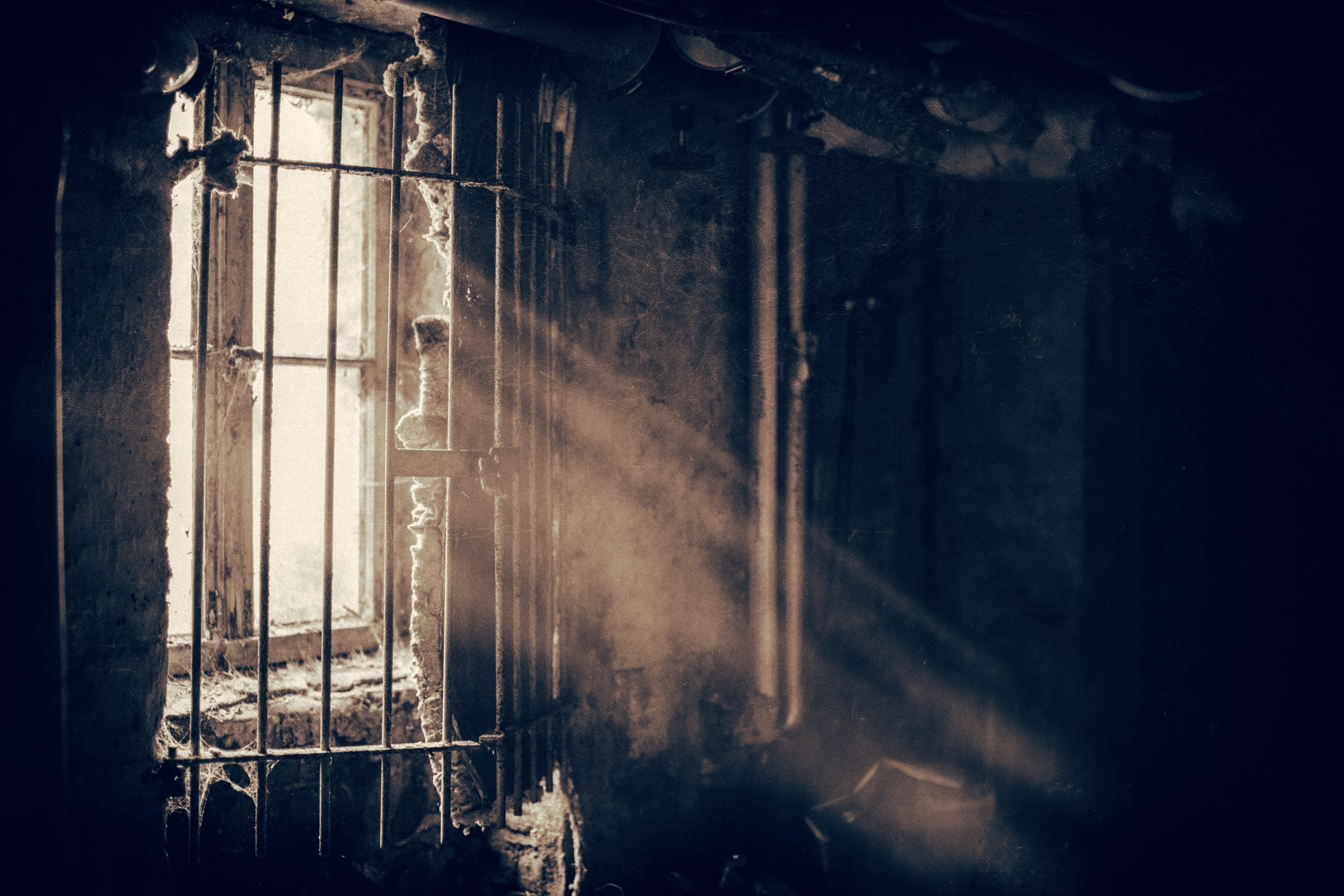 licht